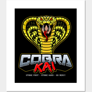 Cobra Kai Dojo Posters and Art